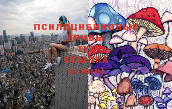 ешки Заволжск